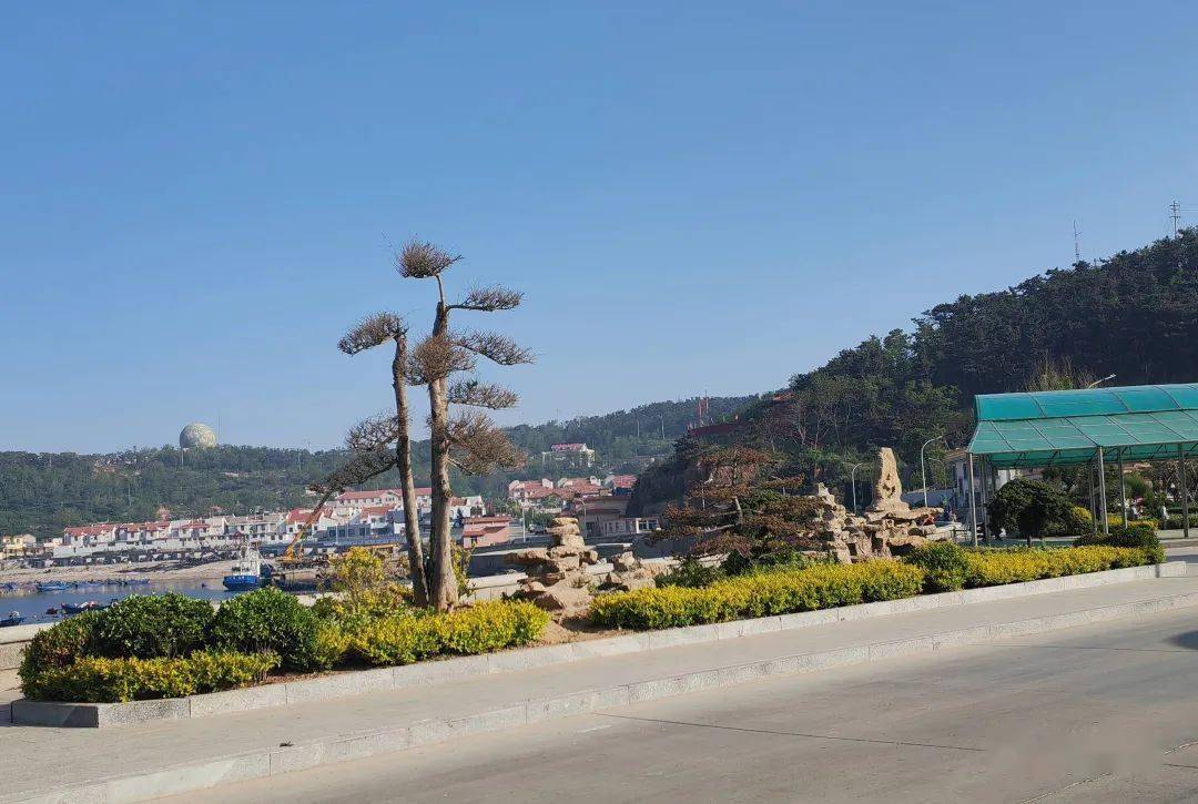 【鲜花海岛】南隍城乡:海上桃花源,鲜花披锦霞_庭院_金叶榆_种植