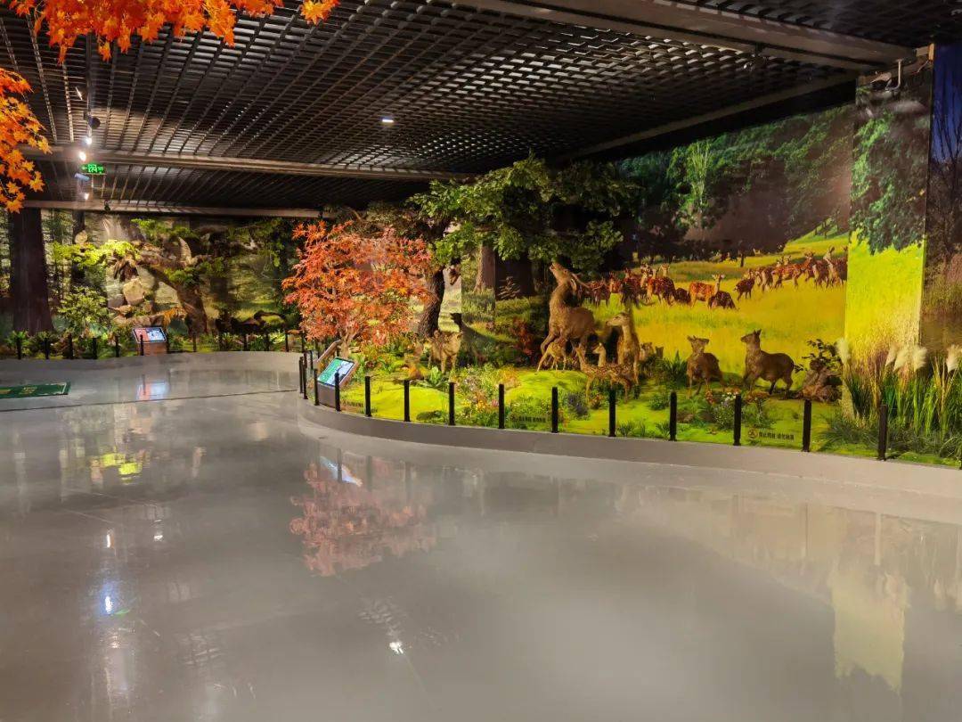 来源:葫芦岛市科技馆编辑:濮曲监审:于九洲投稿请发送至邮箱:hldsccb