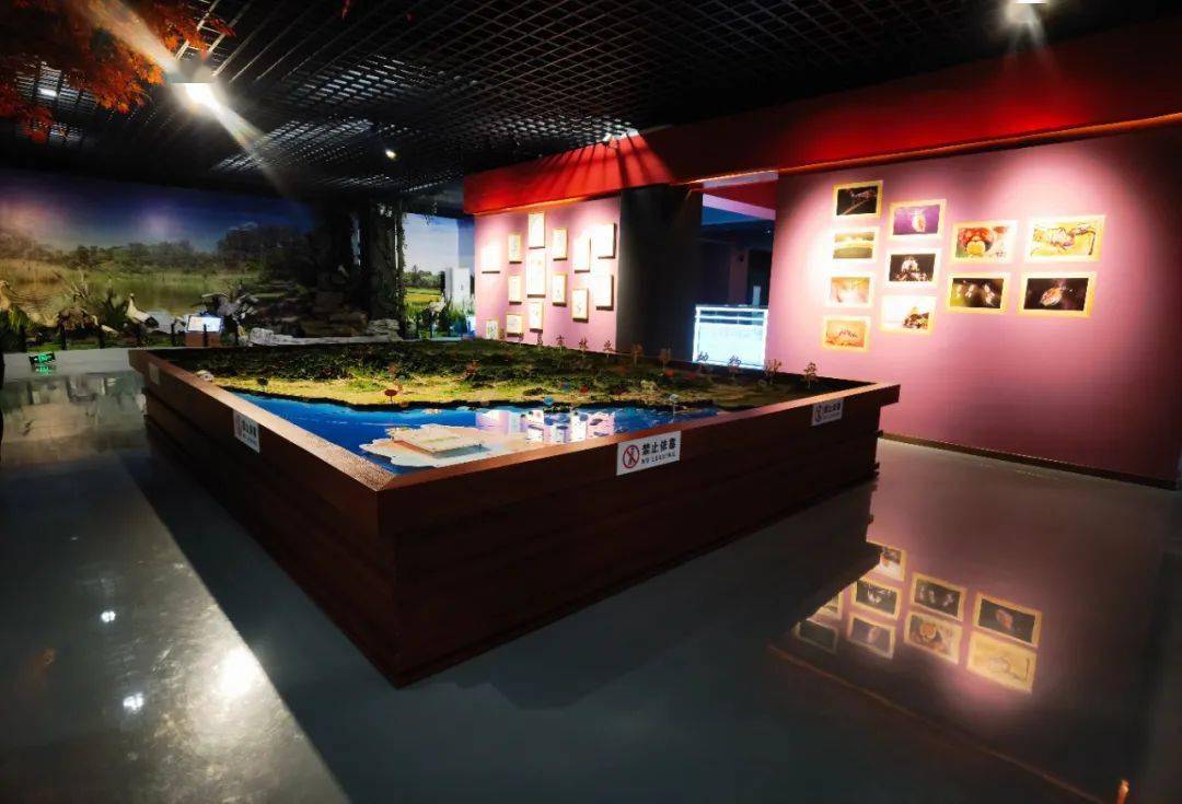 来源:葫芦岛市科技馆编辑:濮曲监审:于九洲投稿请发送至邮箱:hldsccb