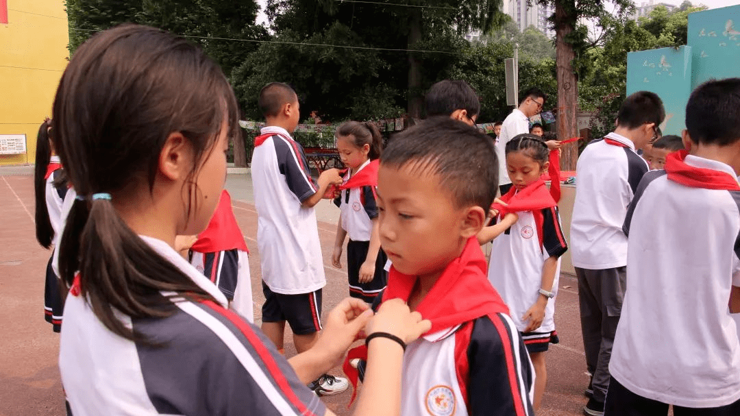 龍泓路小學青平學校區實驗幼兒園洙泗塘幼兒園新橋幼兒園(含楊灣分園)