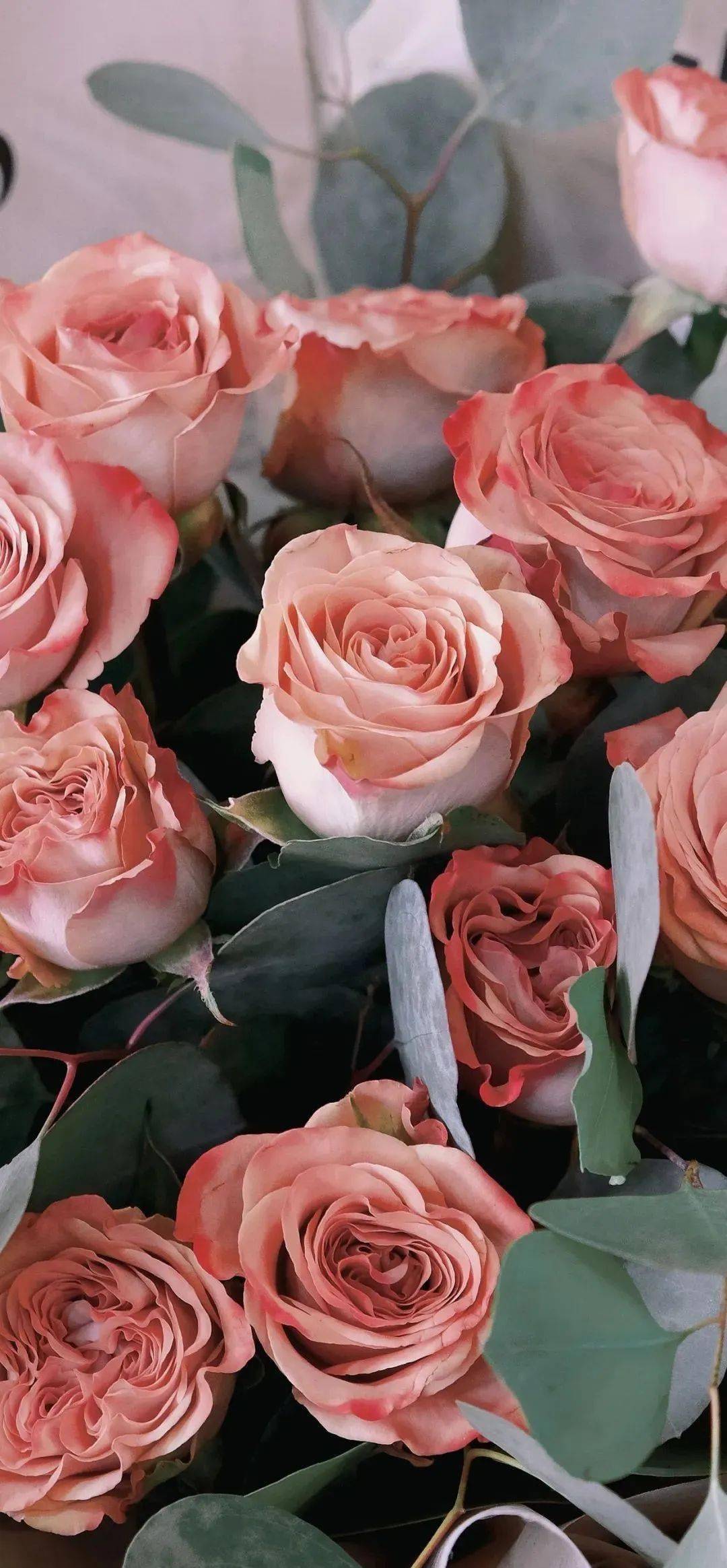 壁纸|高级感ins风壁纸