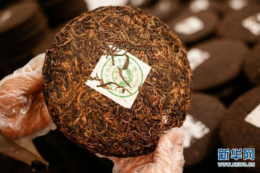 看"一叶"如何"富一方"_大渡岗乡_茶叶_种植