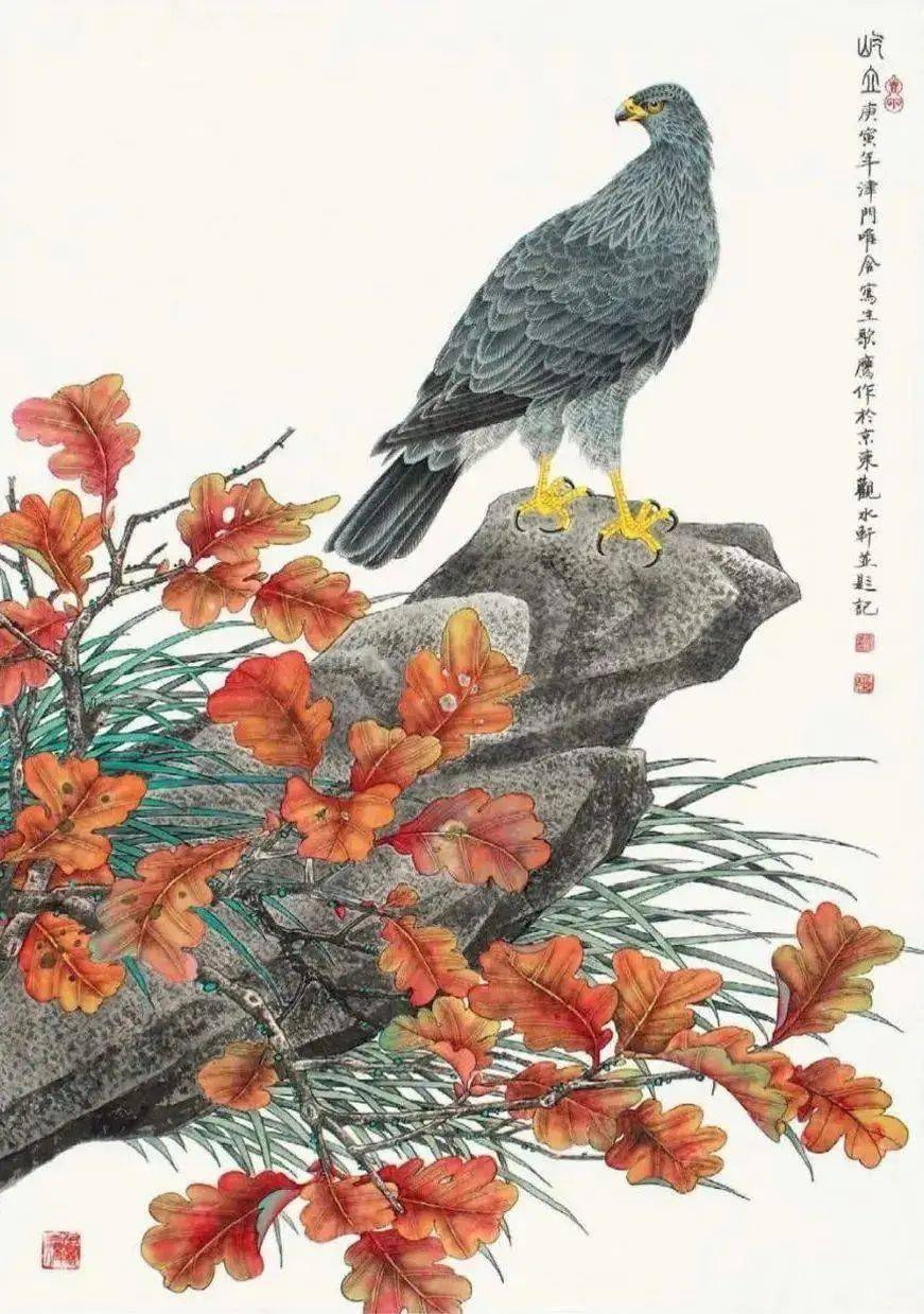国画教程】工笔鹰三例画法步骤图解_搜狐网