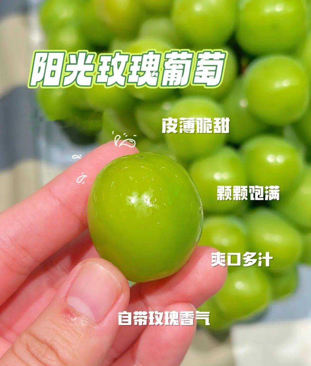 今年头茬【晴王阳光玫瑰葡萄】尝鲜99元4斤!颗颗水润饱满,脆甜多汁!