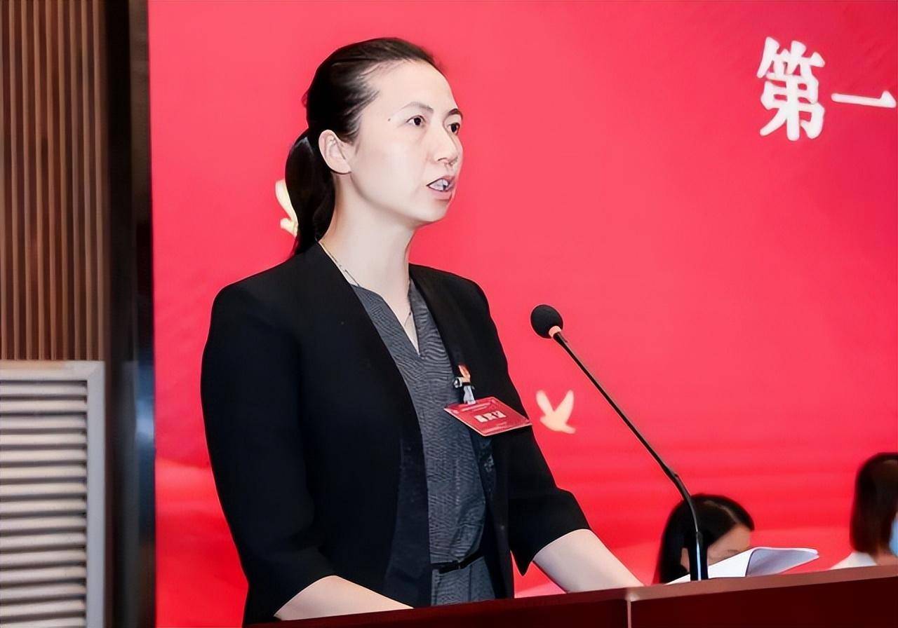 刘小明当选海南省省长,这两省副省长兼任新职