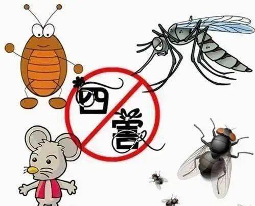 创建国家卫生城市|病媒生物防制知识科普宣传_手机搜狐网