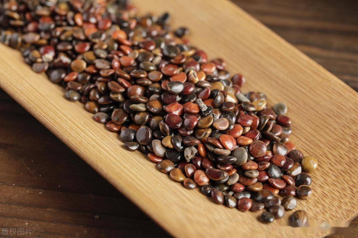 枳椇这味中药,是越吃越甜,还是越品越苦_结果_父亲_鸡爪