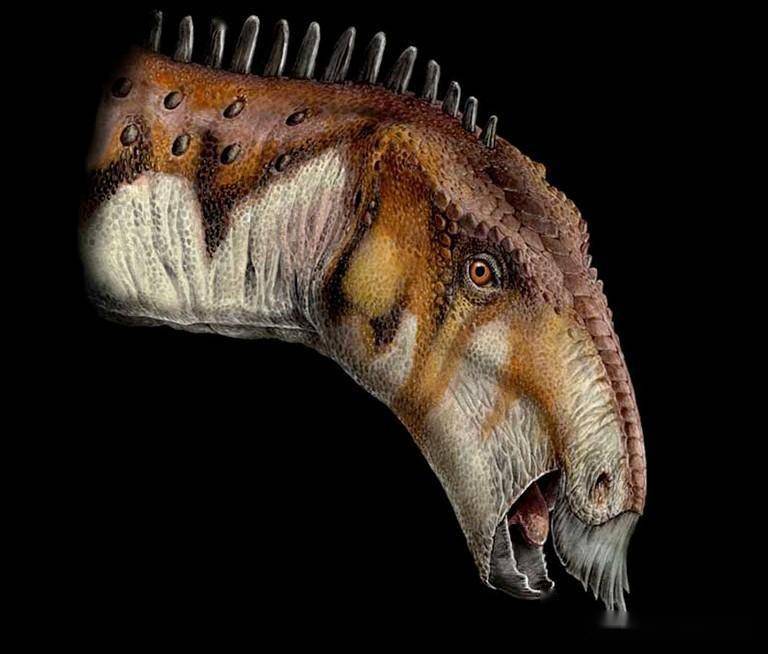 图注:特提斯鸭嘴龙的头部复原,图片来自网络图注