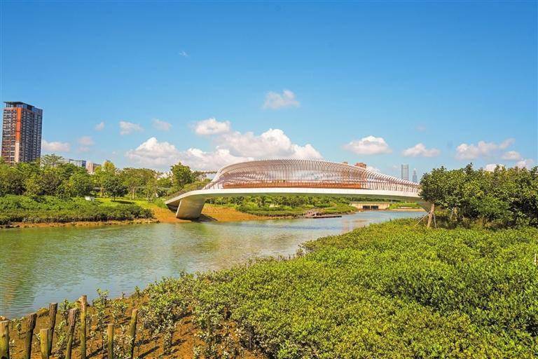 前海石公园桂湾河水廊区级湿地公园挂牌_景观_设计_型桥