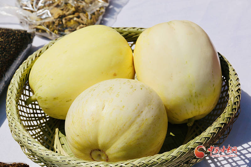 天水秦安白脆瓜上市了 甘脆清香等您尝鲜_全县_销售_发展潜力