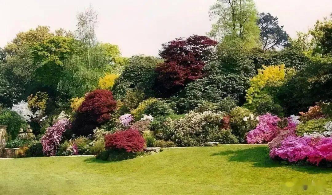 园林设计中的植物配置讲究_群落_变化_原则