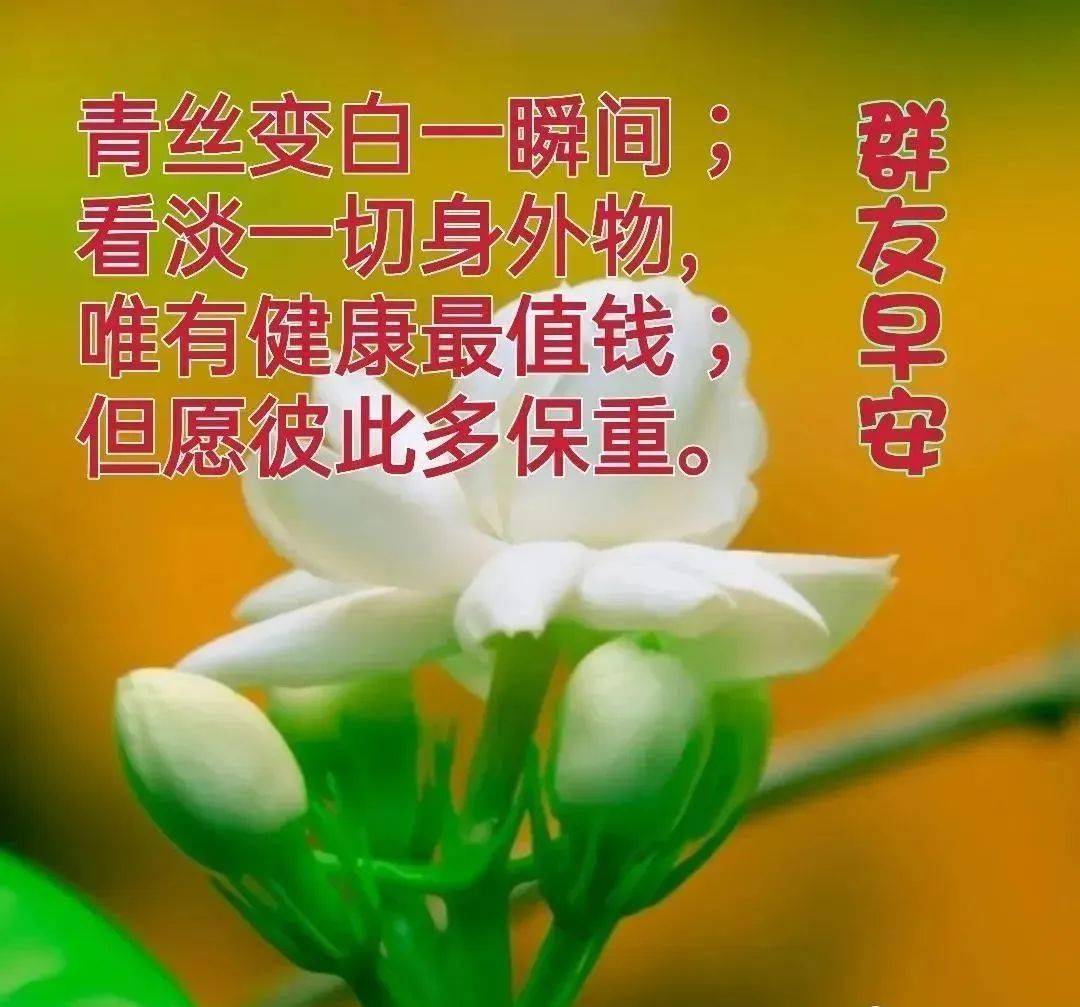 朋友无需提起却日夜牵挂,知己无需挂齿却心领神会,交往积攒了彼此的