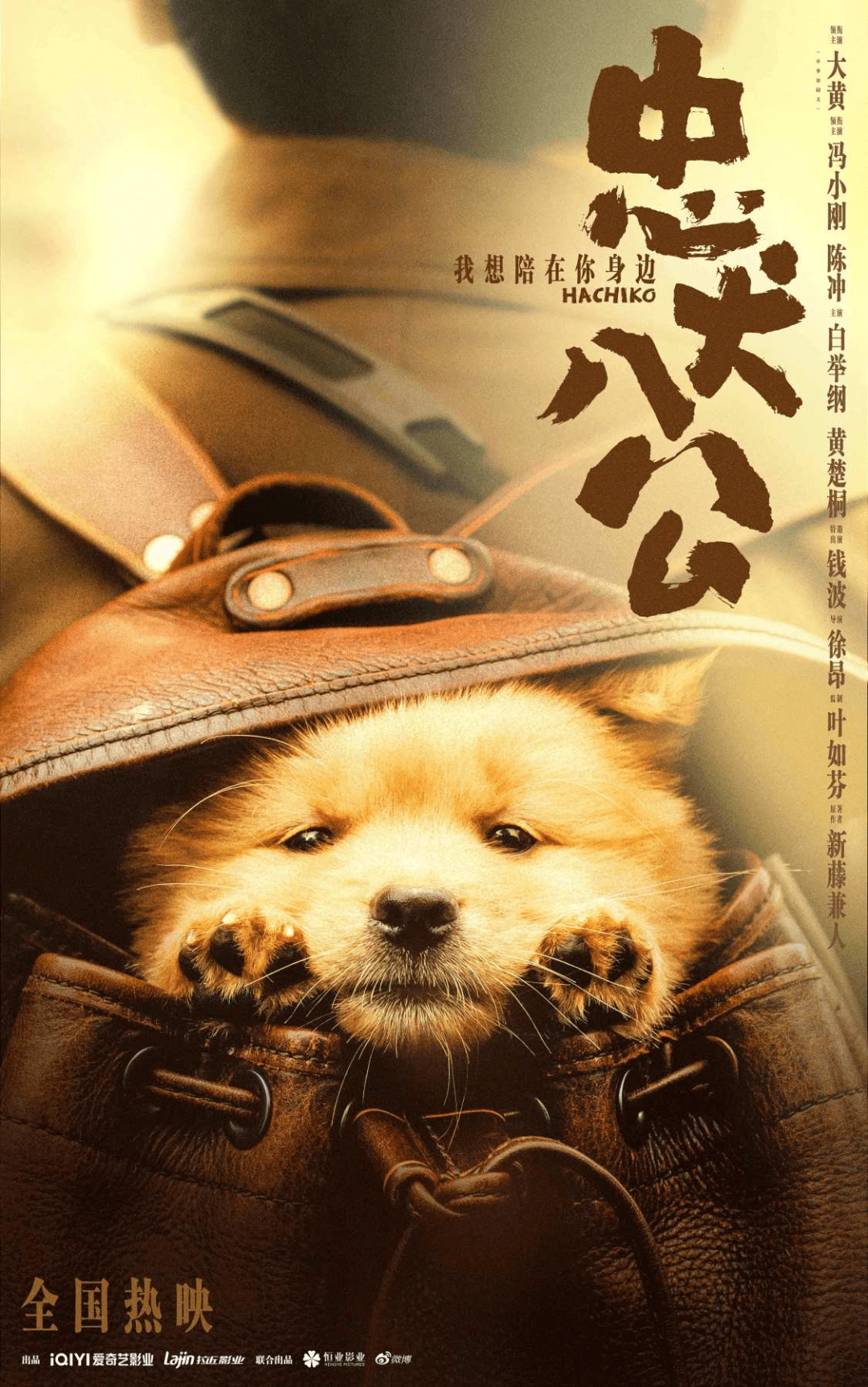 由徐昂执导,冯小刚,陈冲等主演.