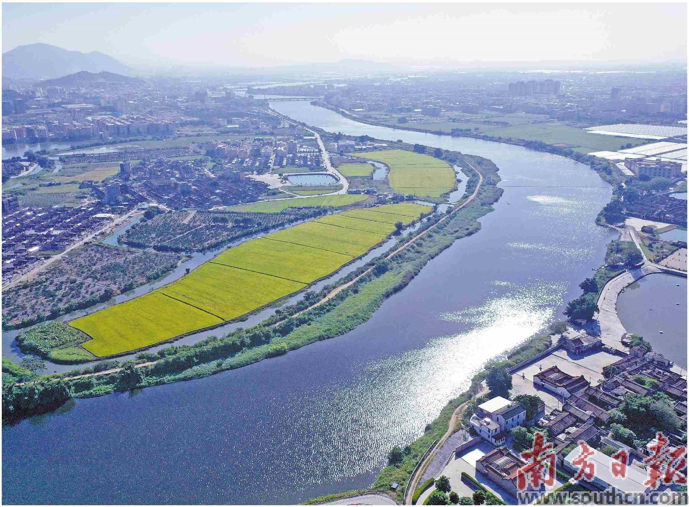 国考断面水环境质量改善排名全国前列_汕头_练江_处罚