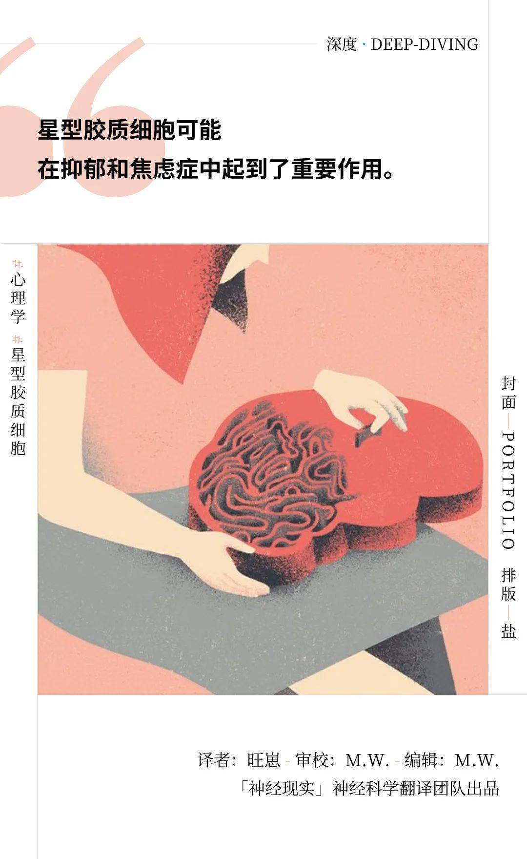 神经元并非独行侠,大脑另有思考者_胶质_脑细胞_研究