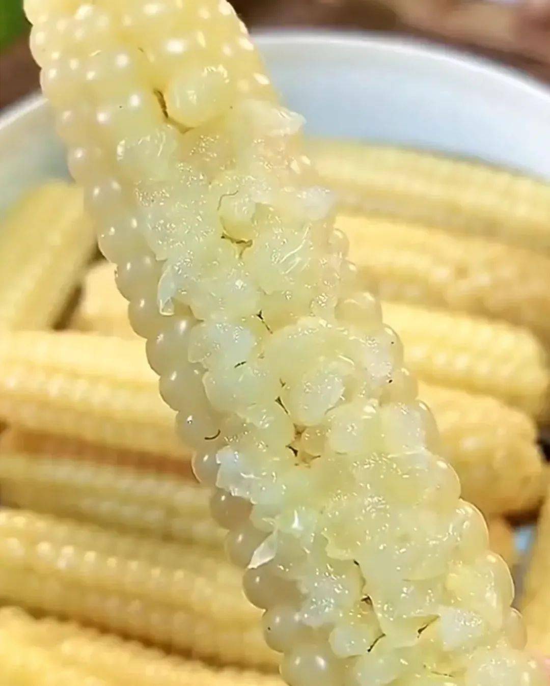 正宗西双版纳特级白糯拇指小玉米!49元拿下!