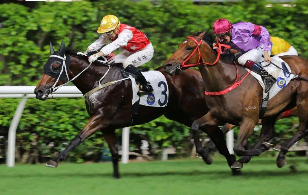 有关香港赛马会及其综合营运模式,请浏览:https://corporate.hkjc.