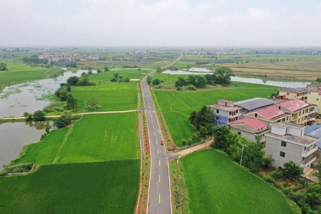 【美丽姚圩】姚圩镇:打通家门口"最后一公里", 铺就乡村"振兴之路"