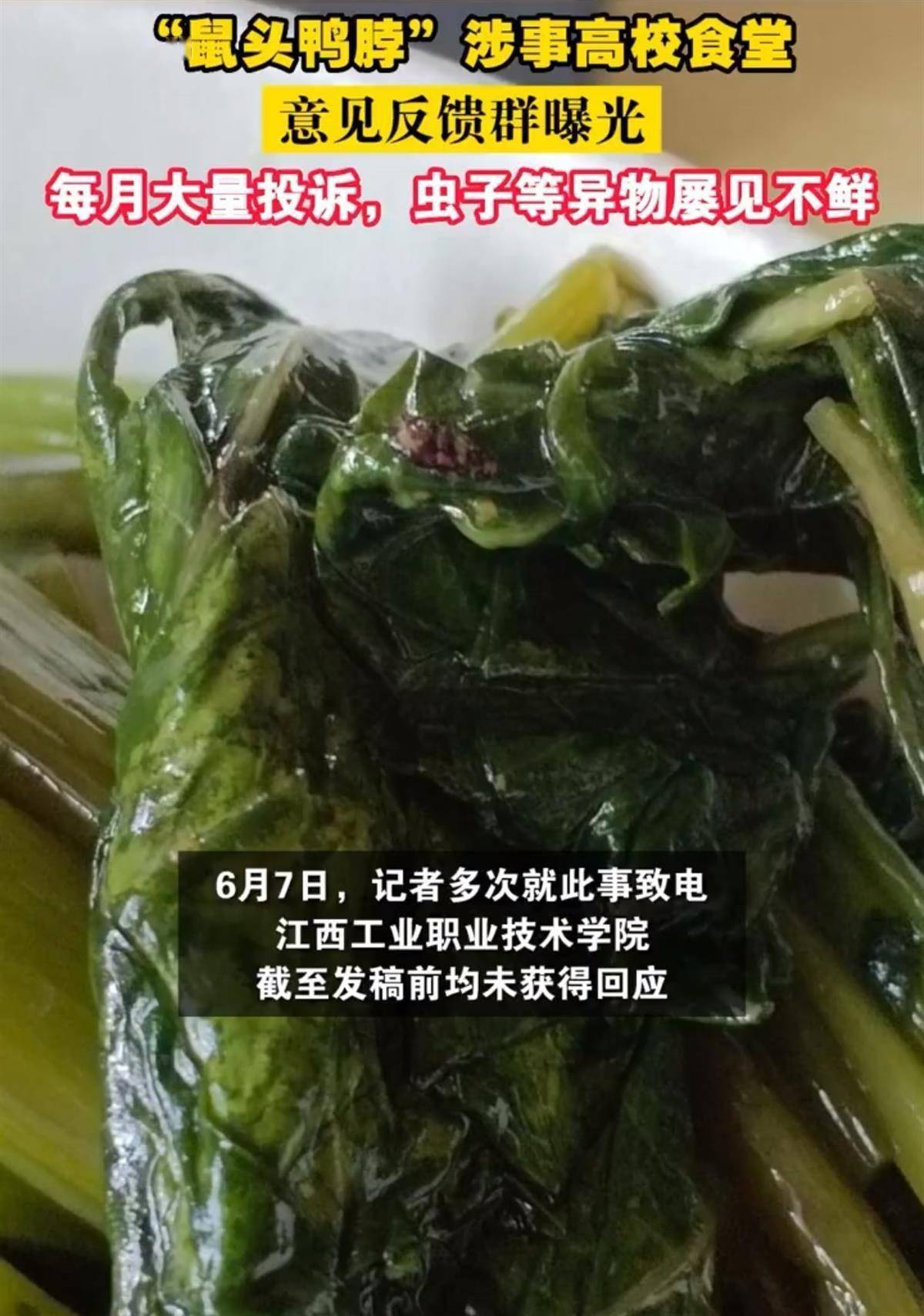 “鸭脖鼠头”涉事高校食堂被吐槽：吃出钢丝球、
