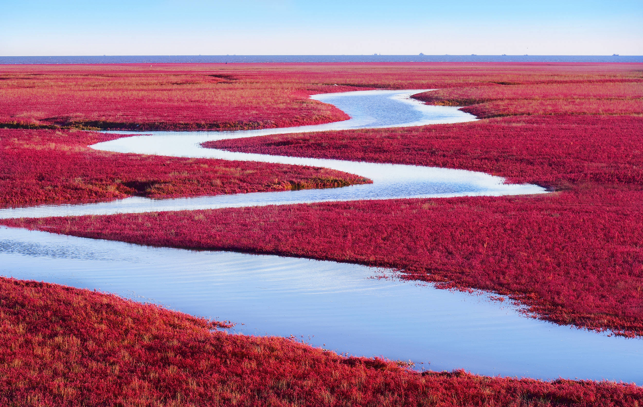 盘锦红海滩国家风景廊道:国家5a级旅游景区.位于盘锦市大洼区北窑村.