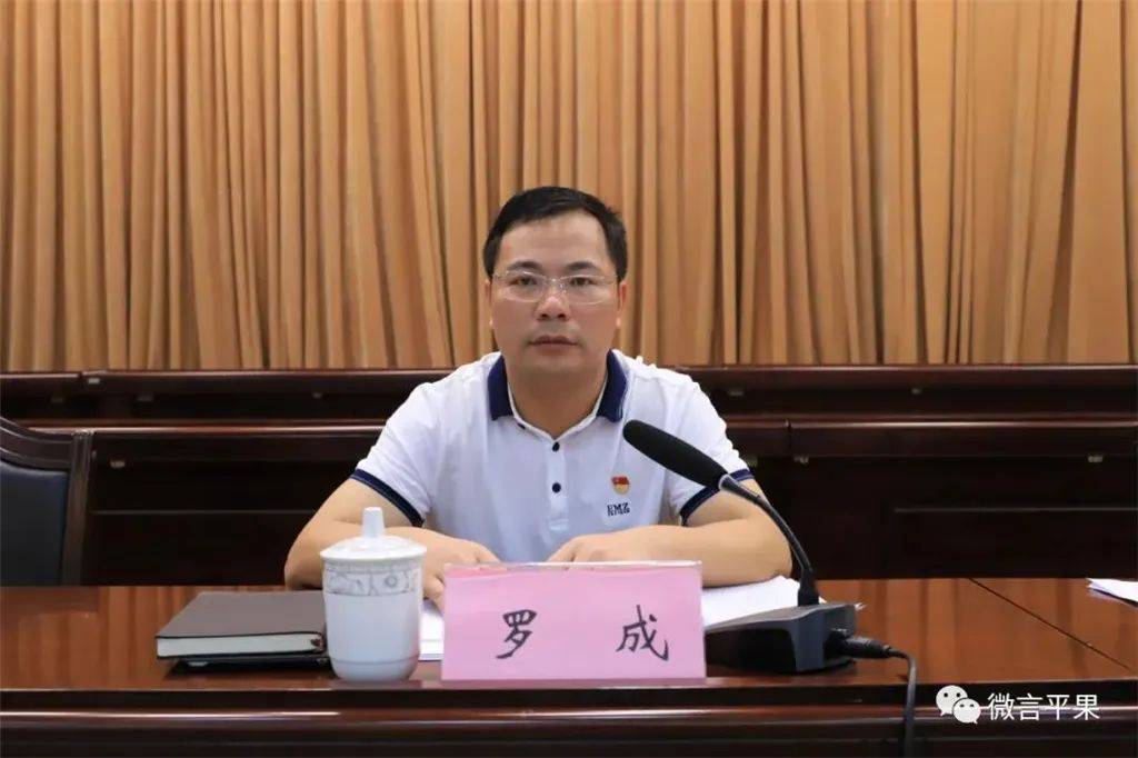 市委书记因个人原因辞去市人大代表职务_平果_罗成_百色
