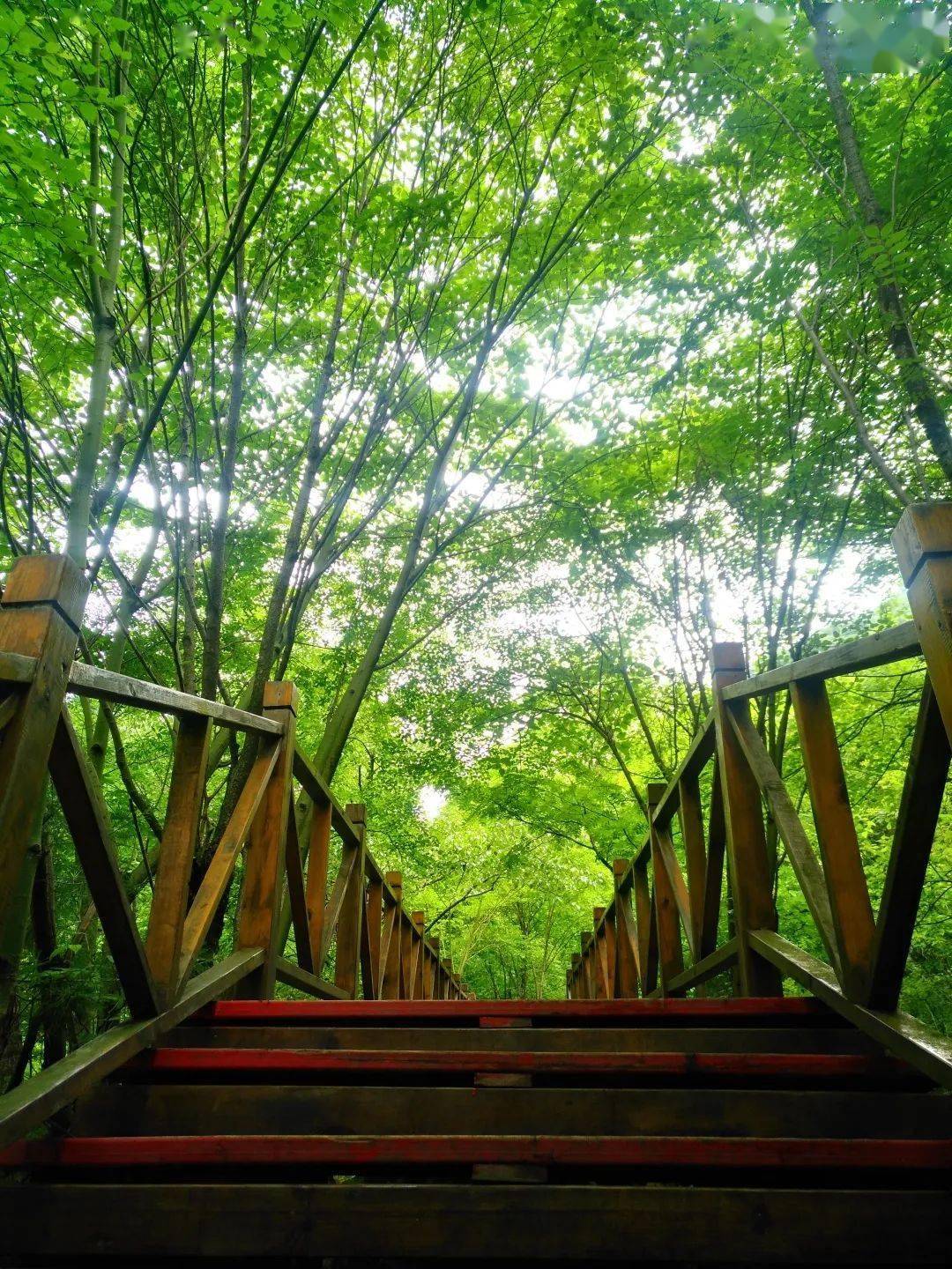 【邂逅19℃的夏天 青峰峡 感受风过山谷飞瀑飘逸】长峡幽谷