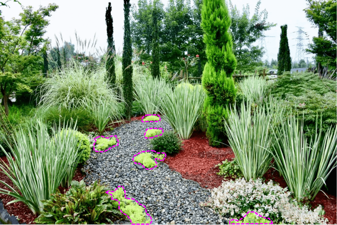 佛甲草的应用篇——优良的地被植物_砾石_空间_碰撞