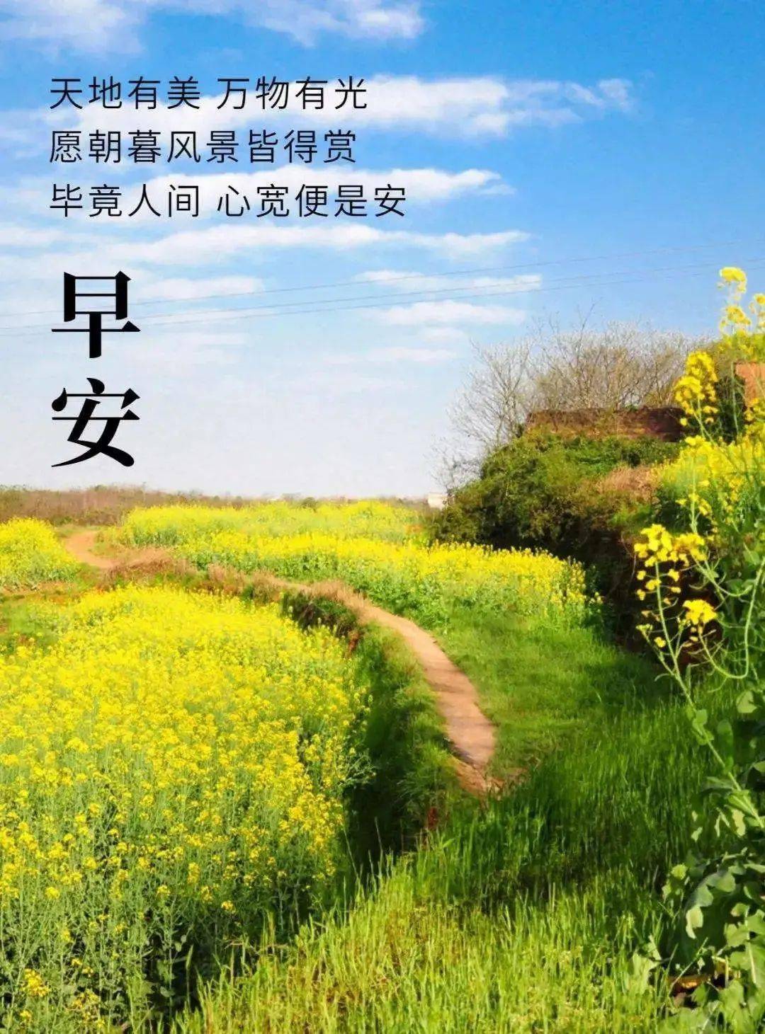 交往中有你,感觉亲切;朋友中有你,我很快乐,早安!_祝福_生活_阳光