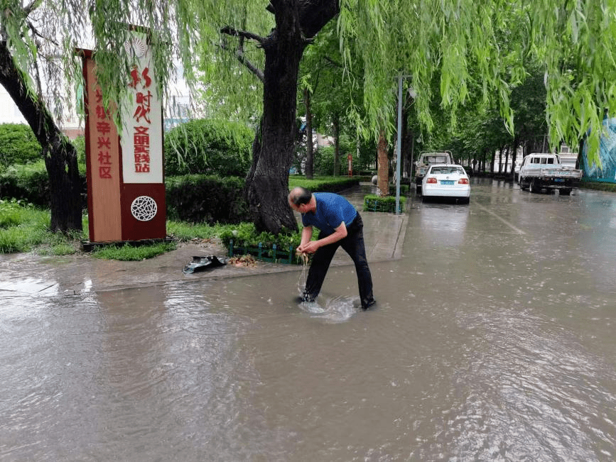 诸城—王沐亮 !_网格_辛兴镇_社区