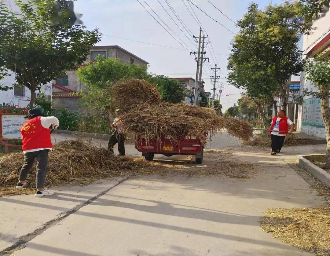 青春助力美丽乡村 | 任寨乡:一抹"志愿红" 守护家园"高颜值"_秸秆