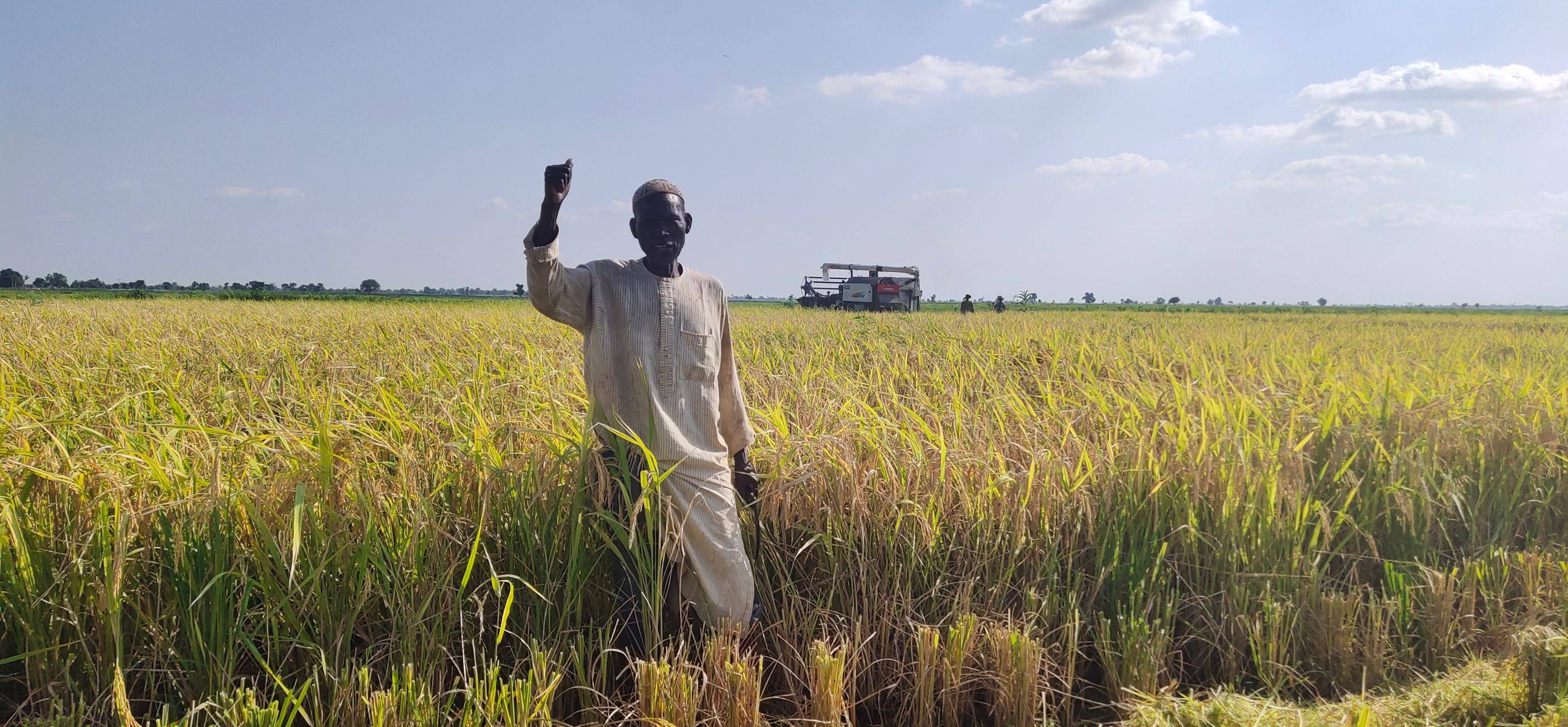 湘约非洲|湖南杂交水稻扎根非洲岛国_马达加斯加_示范_种植