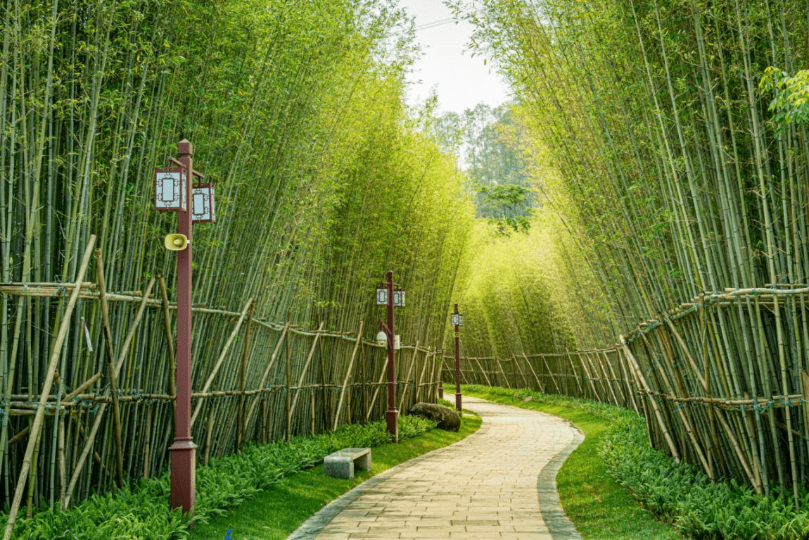 华圣公园图片