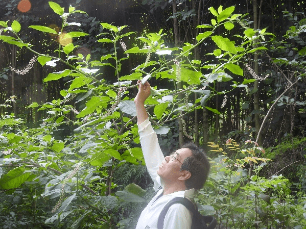 云南大学李博教授获评“中国生态学学会优秀科技工作者”_研究_生物_入侵