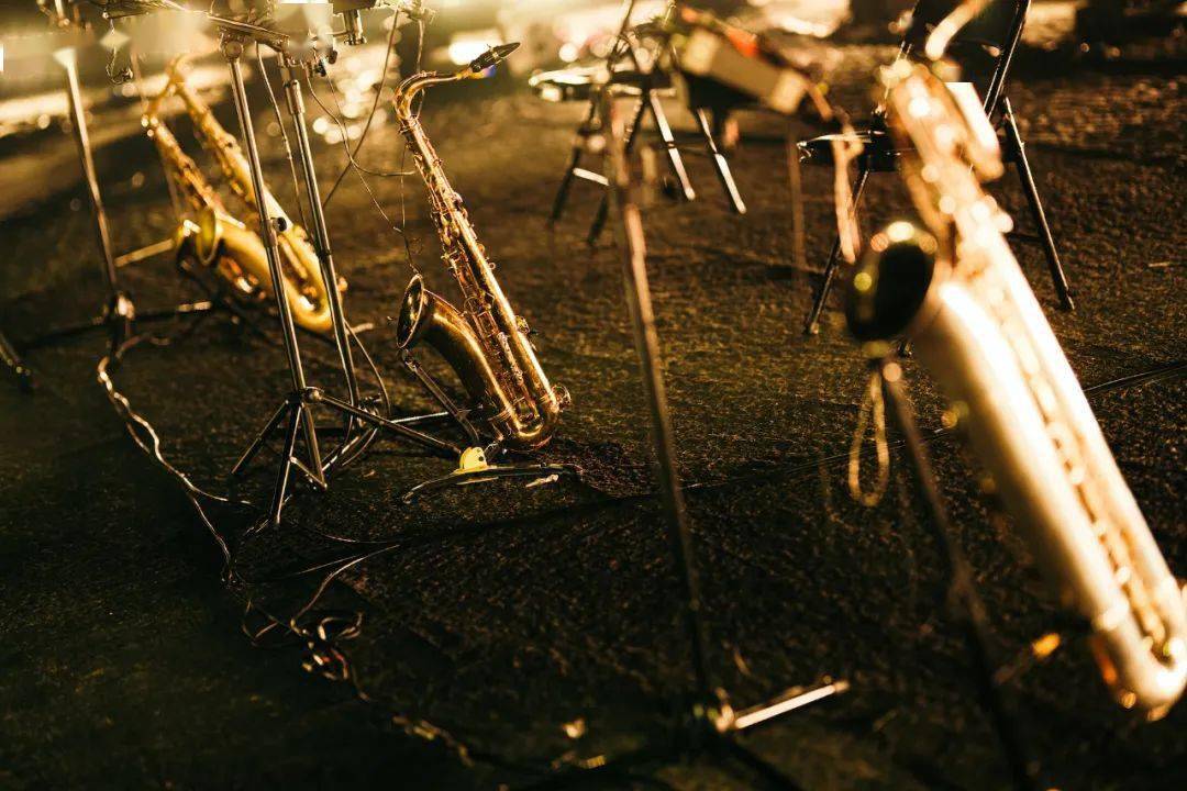 留影丨万能青年旅店2023上海专场官摄_萨克斯_中音_和声