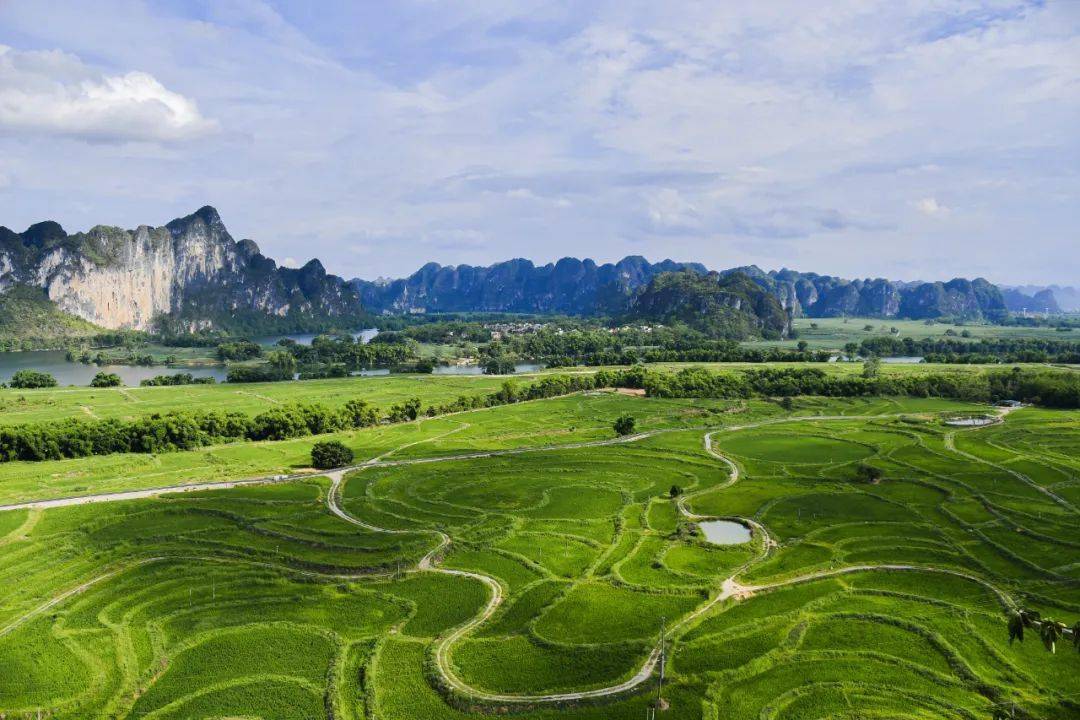 龙州有个宝藏地方,长成了人间仙境的模样!_景区_左江_美景