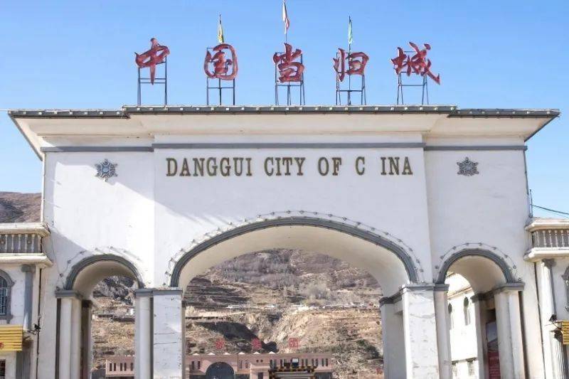 岷县消防救援大队走进中国当归城开展消防安全宣传培训活动_定西市