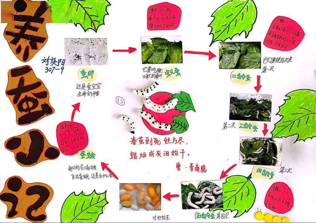 科学_成长_成蝶