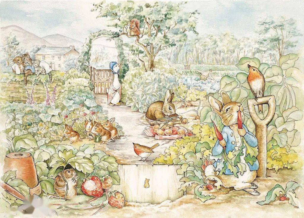 欢迎来到比得兔的世界,这套经典值得每个孩子抱回家