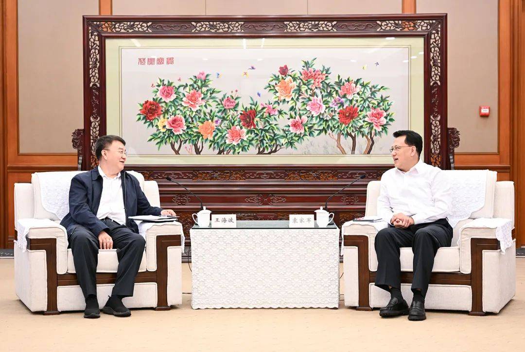 袁家军胡衡华会见中国电子科技集团董事长王海波一行_发展_重庆_现代化