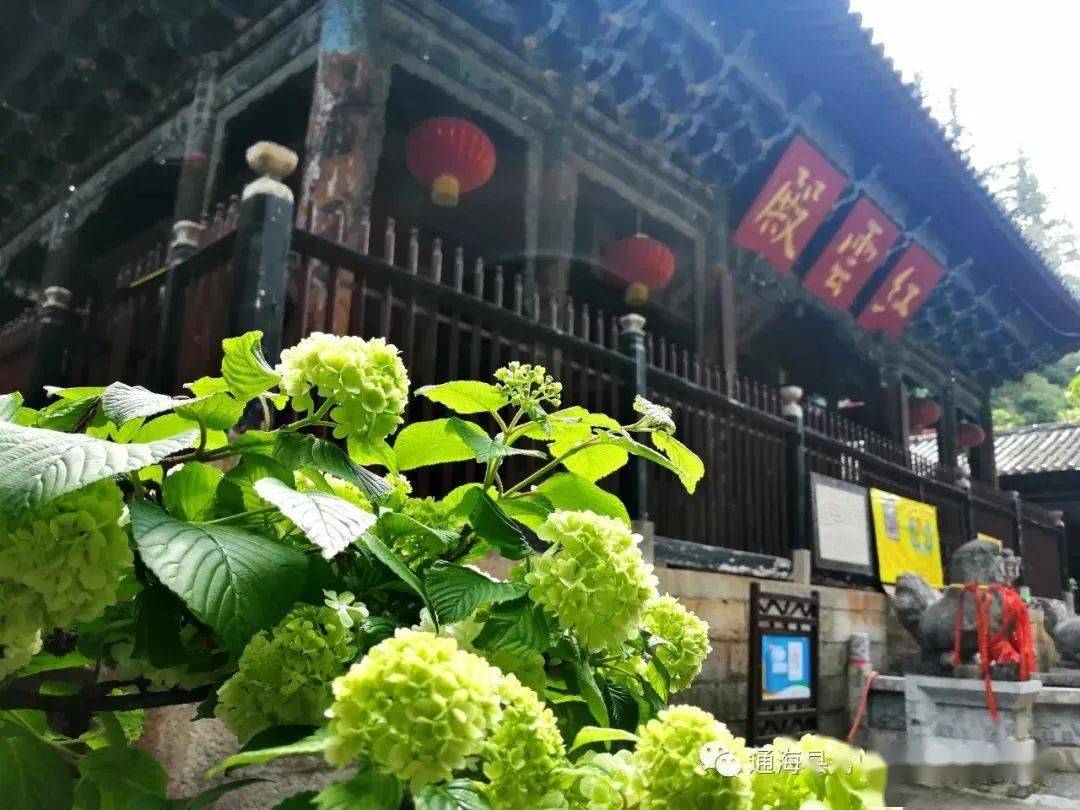 云南这些景区凭准考证可优惠游玩!_门票_本人_毕业