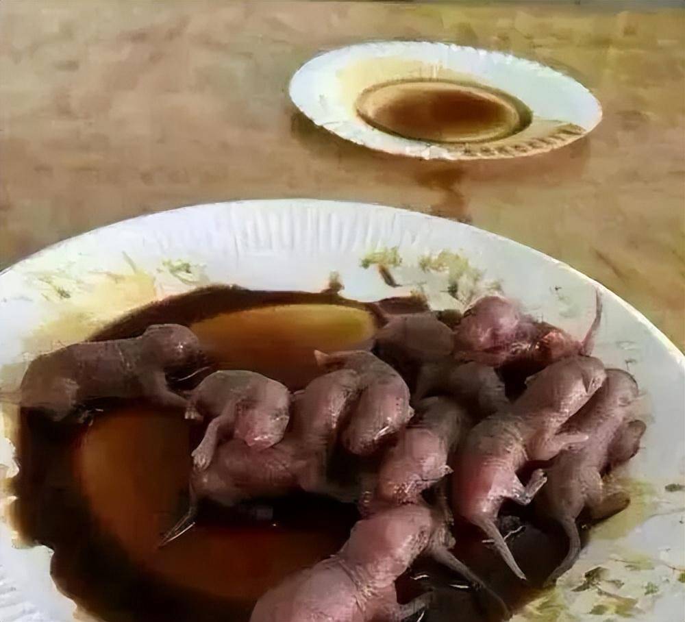 67暗黑料理:鼠肉烹饪竟比鸭脖历史更悠久_老鼠_遗址_文物