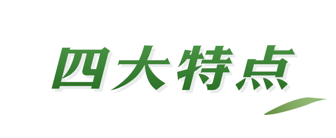 到尾舵依次序上船,高,矮,轻,重搭配要均匀,锣手和戽水吹哨手在船中间