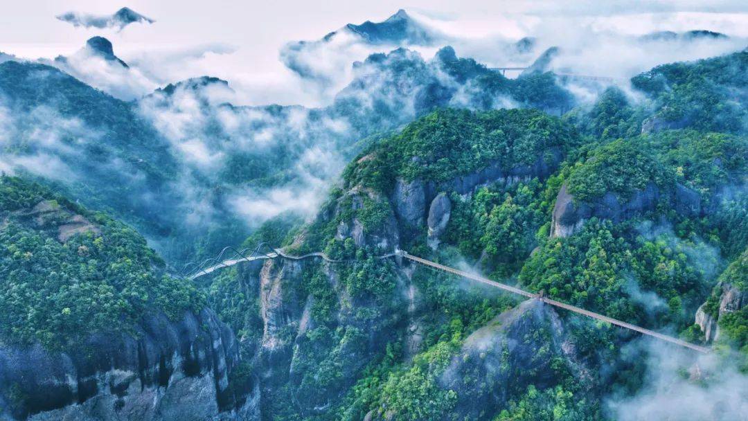 台州知名景区宣布:免门票两个半月!_活动_森林_淡竹