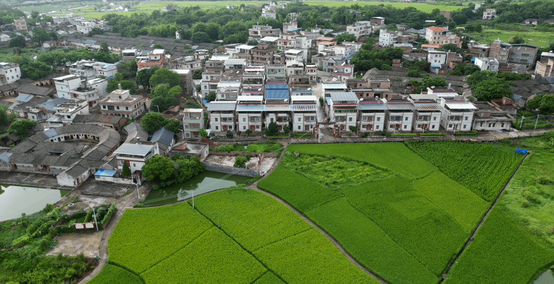 广东兴宁坭陂镇大新村图片