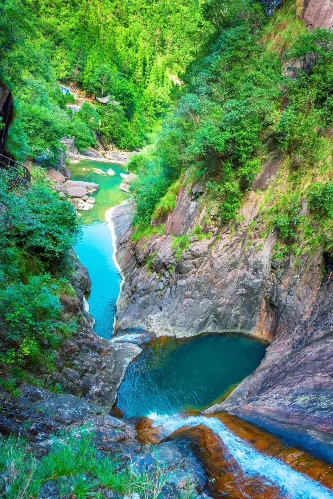 平阳景区来"宠"你~_数学_活动_毕业