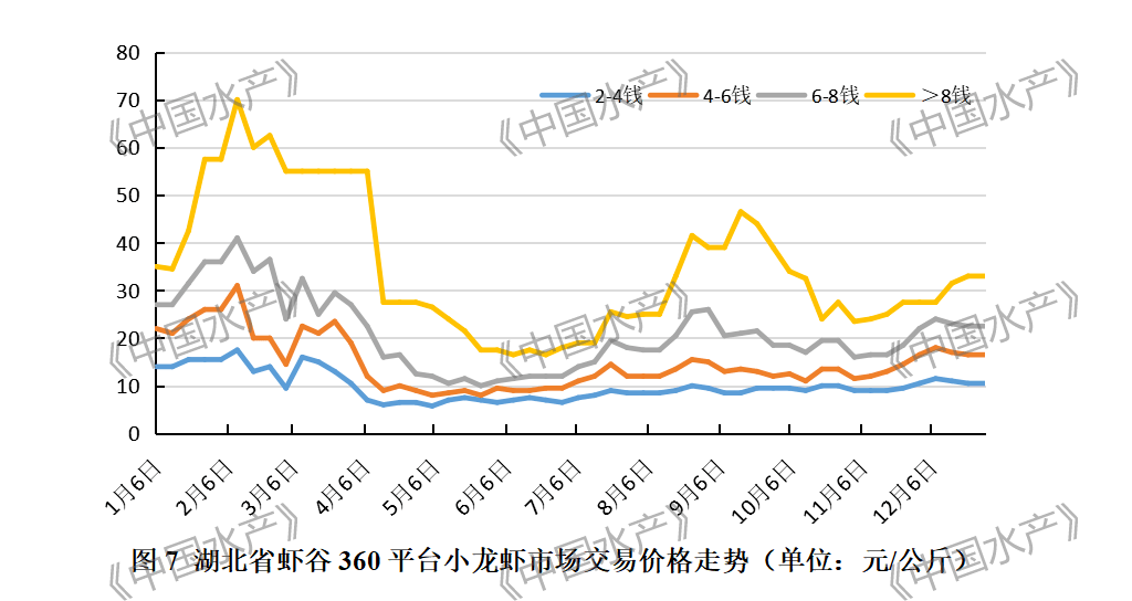 致富经小龙虾_致富经龙虾养殖视频全集_致富经小龙虾养殖技术