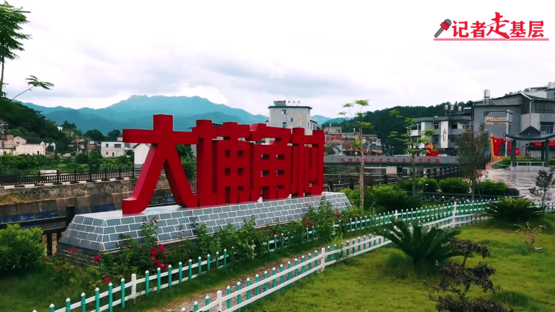 【记者走基层】枫朗镇:着力推动"红色 绿色"产业融合 实现镇域经济高