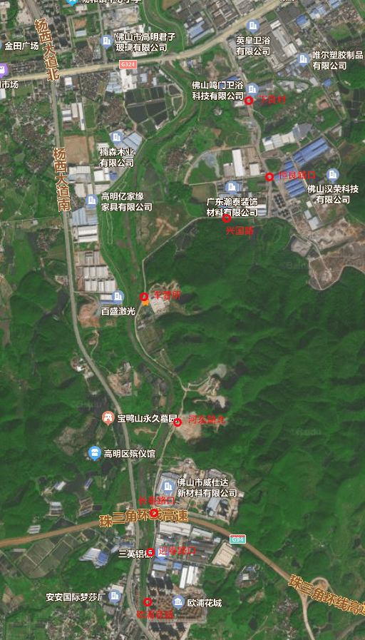 高明公交线路有调整_站点_时间_运营