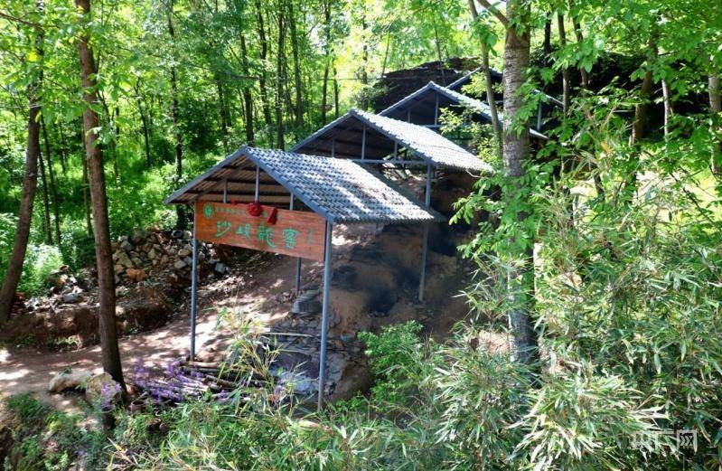 甘肃成县:守护绿水青山 留住美丽乡愁_沙坝镇_的发展_连翘