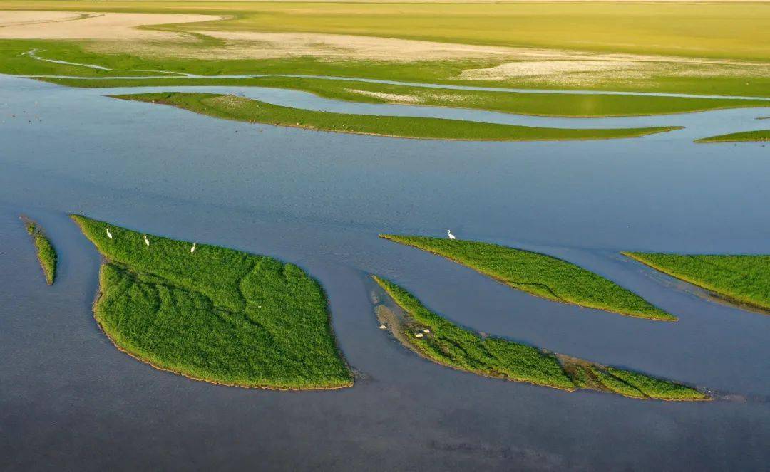 杨银学:我的家乡石河子湿地 | 蘑菇湖_摄影_中国_生态